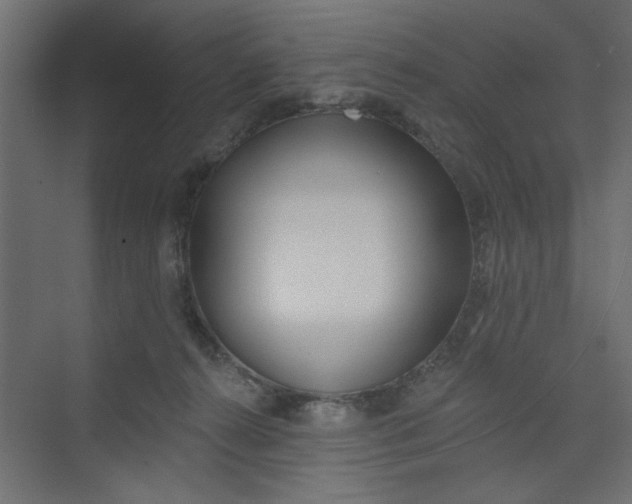 X0000073460272200608181313