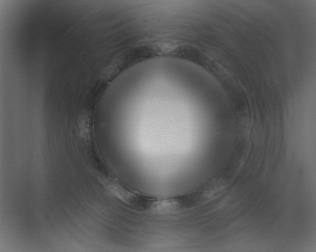 X0000073460274200608181313