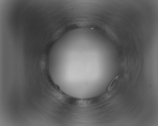 X0000073460277200608181313