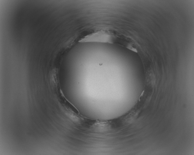 X0000073460280200608181313