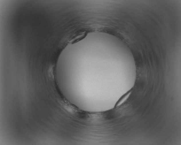 X0000073460286200608181313