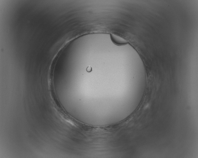 X0000073460290200608181312