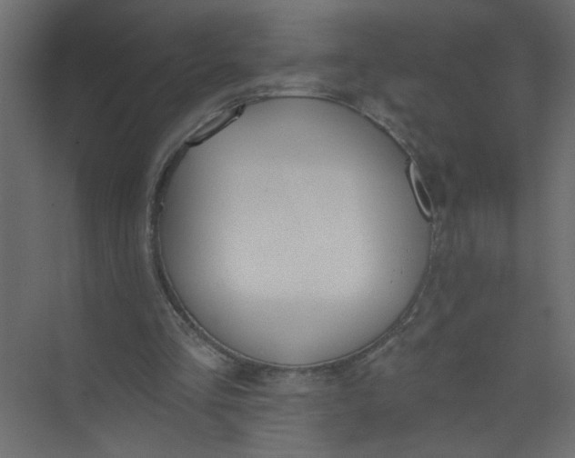 X0000073460293200608181312