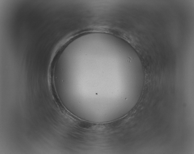 X0000073460294200608181312