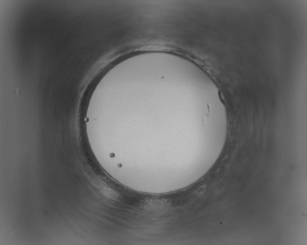 X0000073460296200608181312