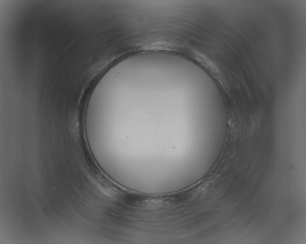 X0000073460298200608181312