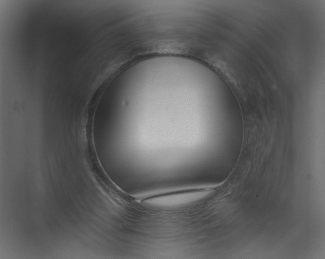 X0000073460299200608181312