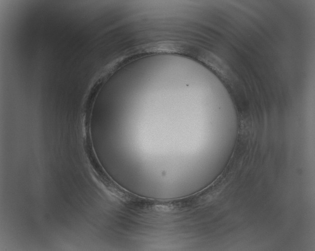 X0000073460302200608181312