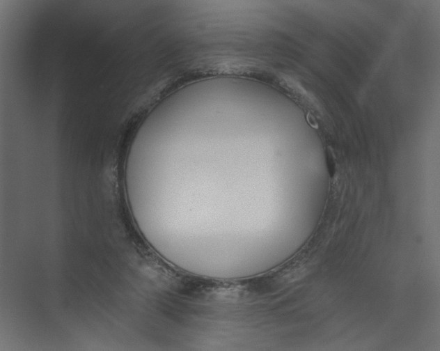 X0000073460306200608181312