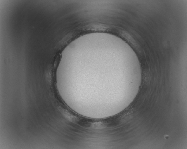 X0000073460309200608181312