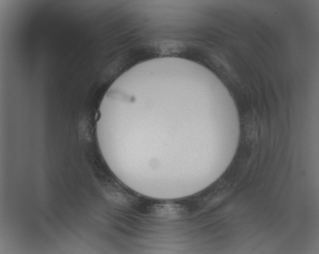 X0000073460316200608181312