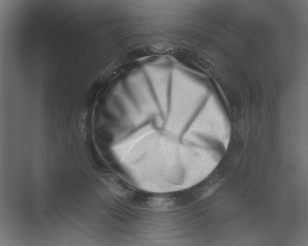 X0000073460319200608181312