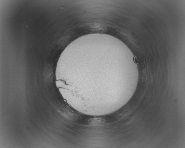 X0000073460320200608181312