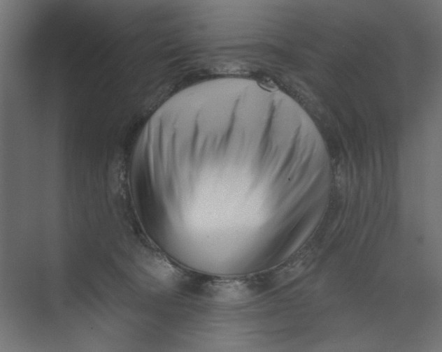 X0000073460322200608181312