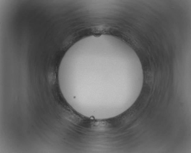 X0000073460324200608181312