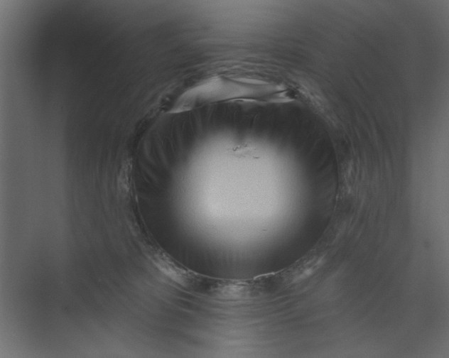 X0000073460325200608181312