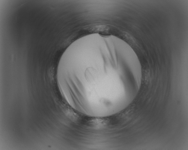 X0000073460326200608181312