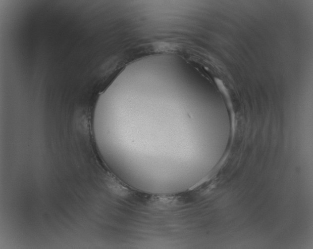 X0000073460329200608181312