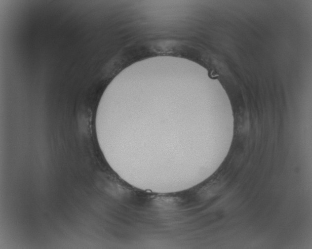 X0000073460332200608181312