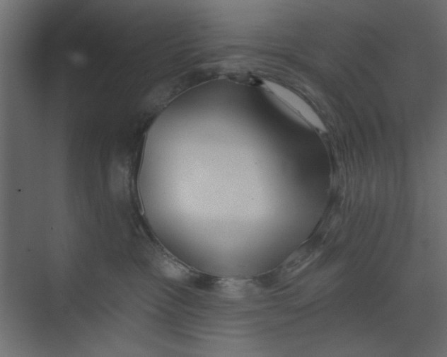 X0000073460333200608181311