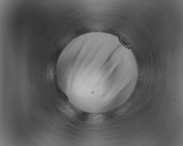 X0000073460334200608181311