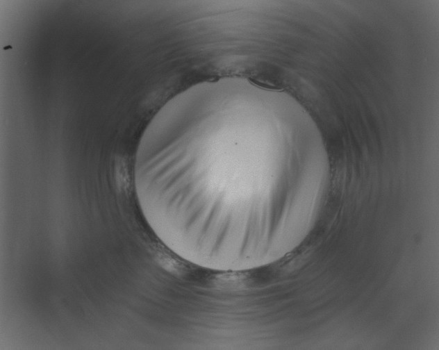 X0000073460335200608181311