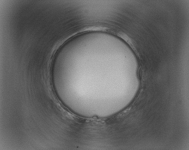 X0000073460337200608181311