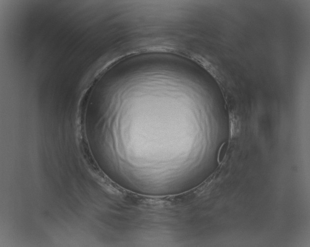 X0000073460339200608181311