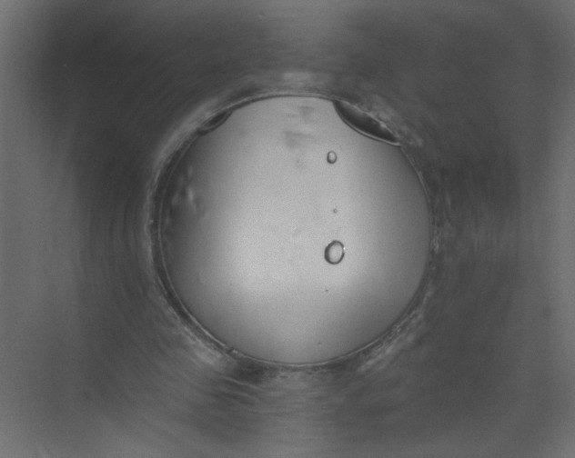 X0000073460341200608181311