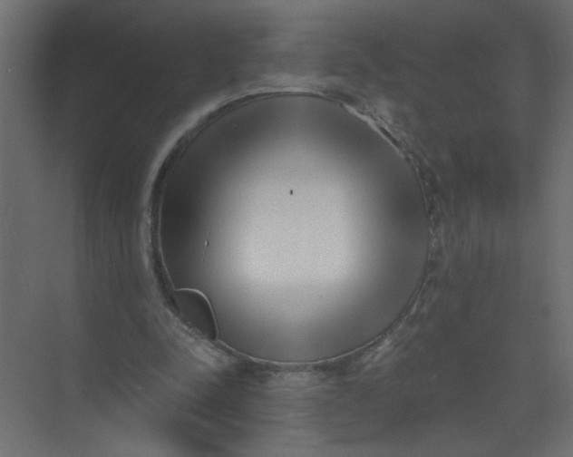 X0000073460342200608181311