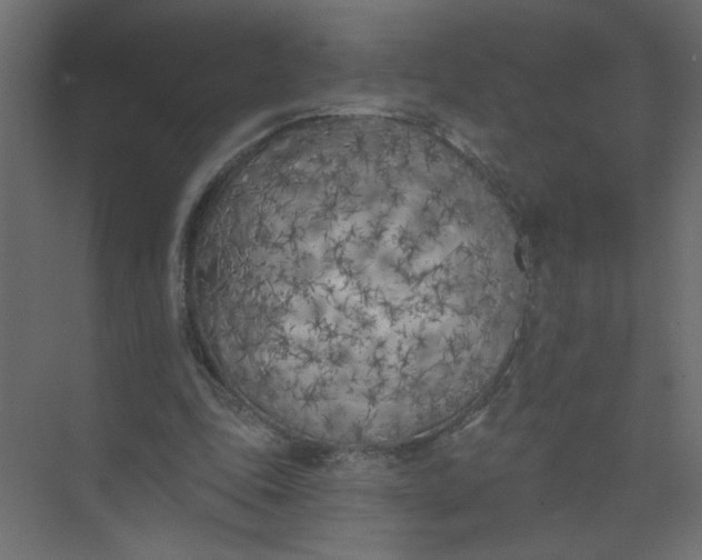 X0000073460343200608181311