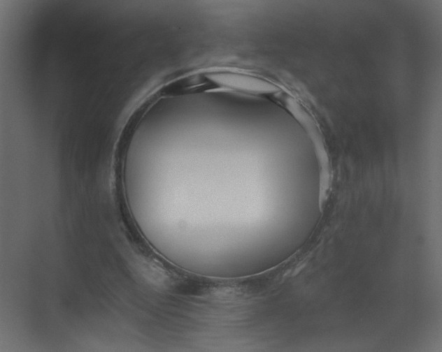 X0000073460344200608181311