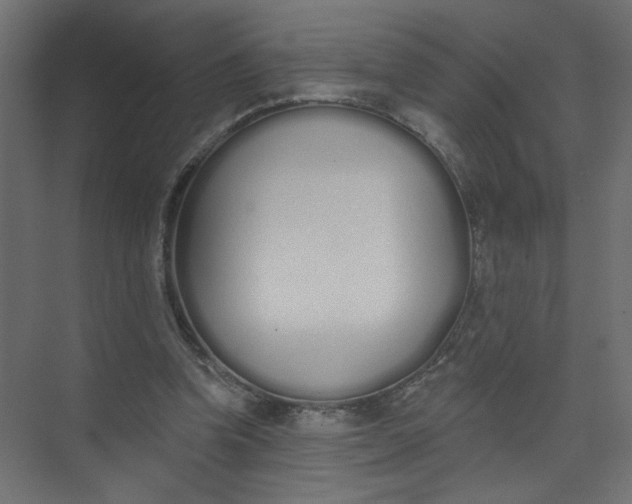 X0000073460346200608181311