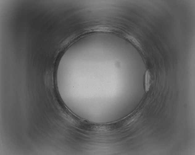 X0000073460349200608181311