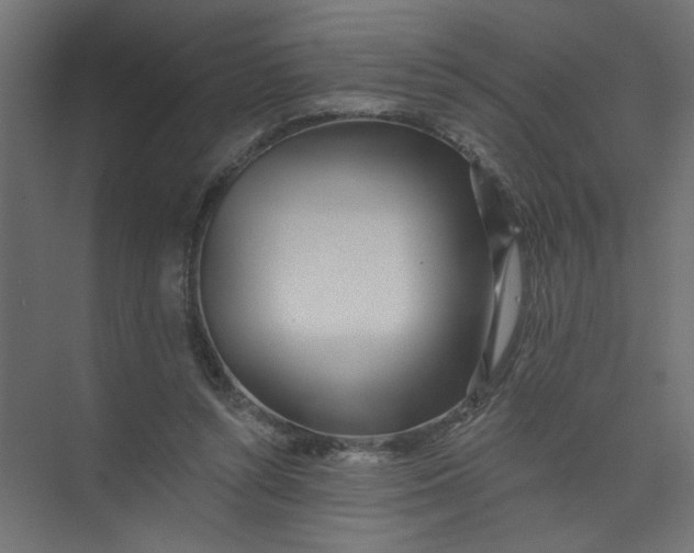 X0000073460352200608181311