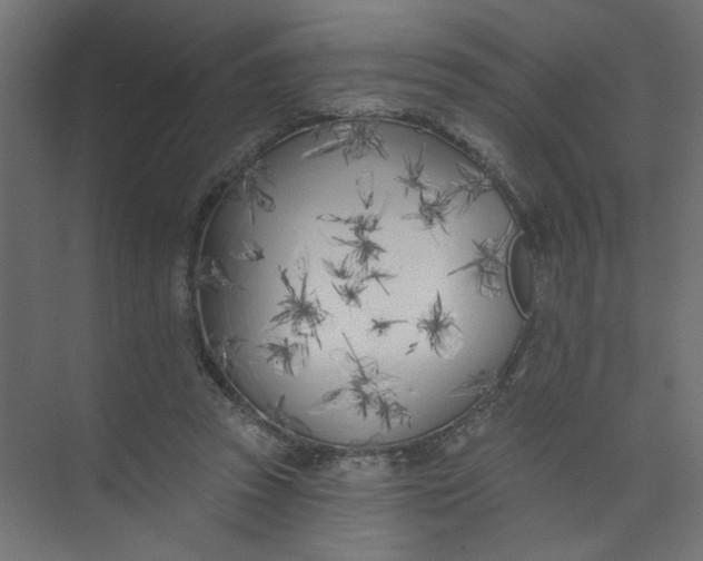 X0000073460353200608181311