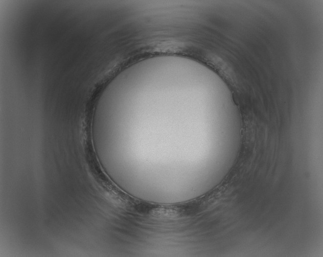 X0000073460354200608181311