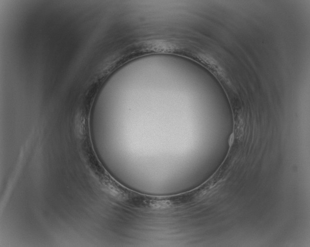 X0000073460355200608181311