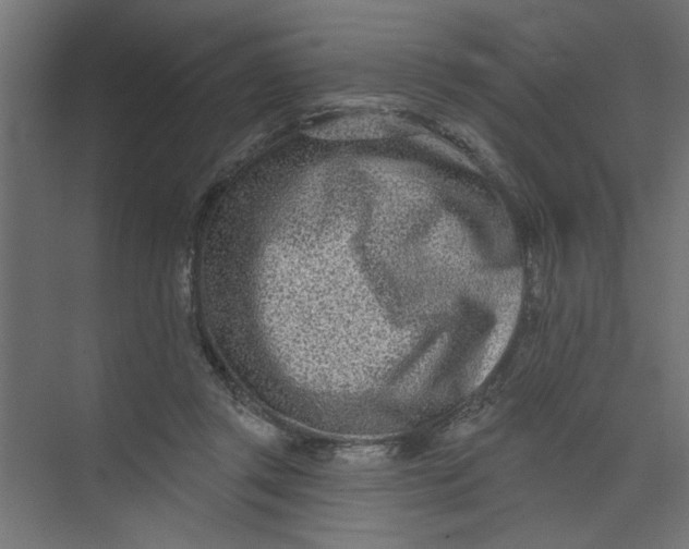 X0000073460357200608181311