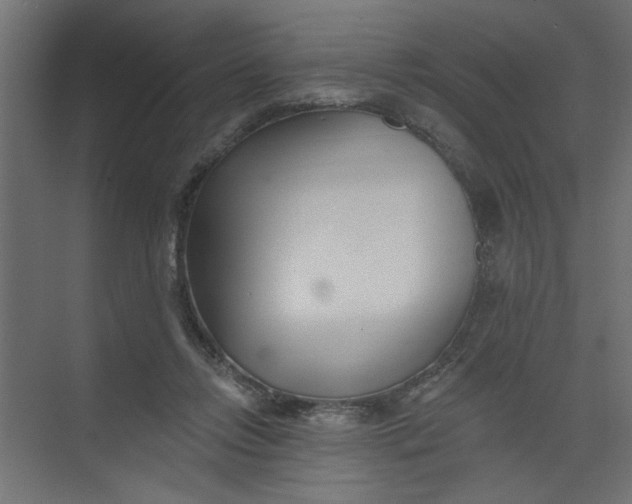 X0000073460358200608181311