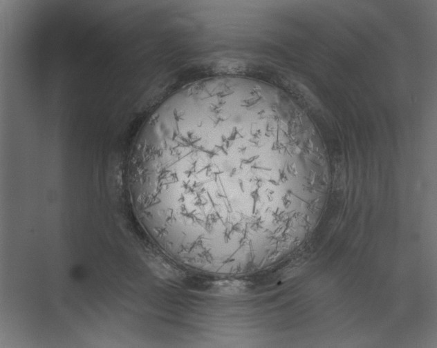 X0000073460363200608181311