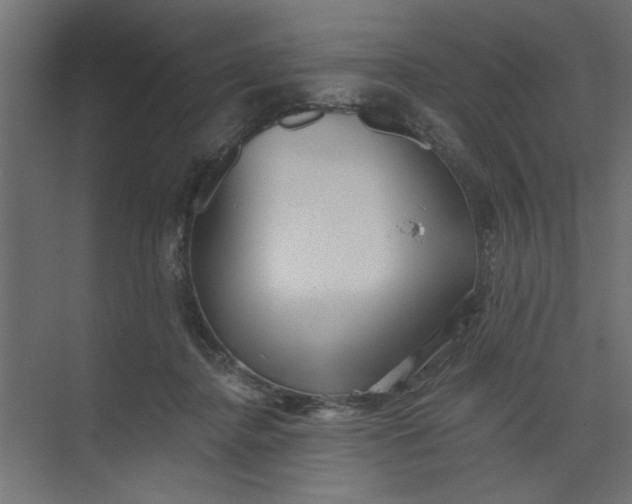 X0000073460364200608181311