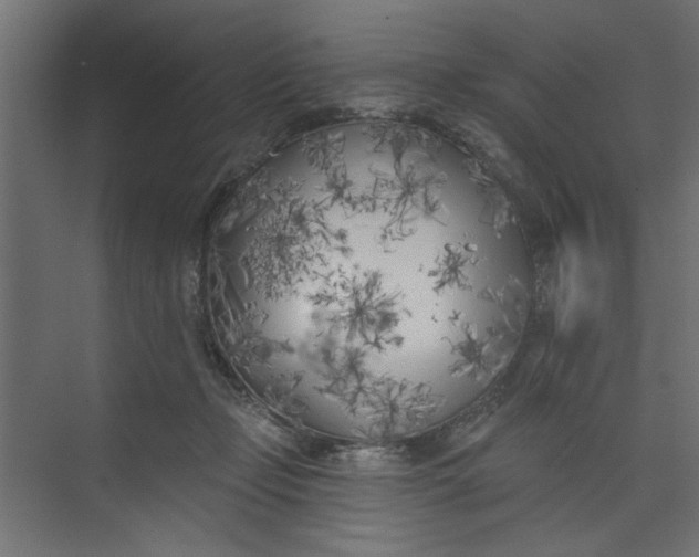 X0000073460365200608181311