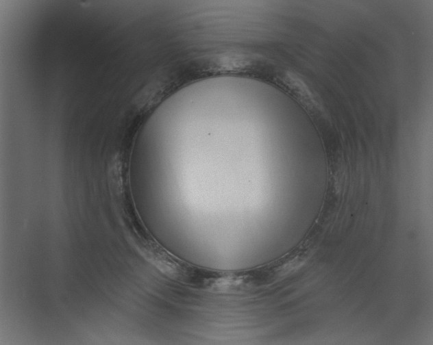 X0000073460366200608181311