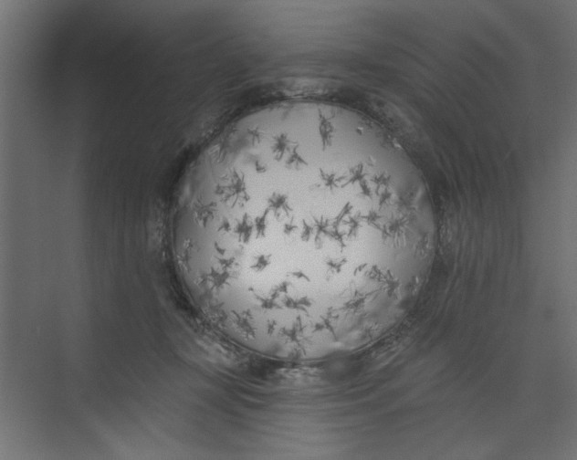 X0000073460367200608181311