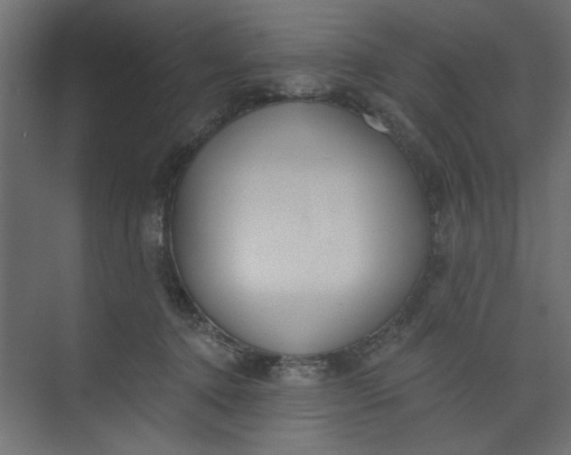 X0000073460368200608181311