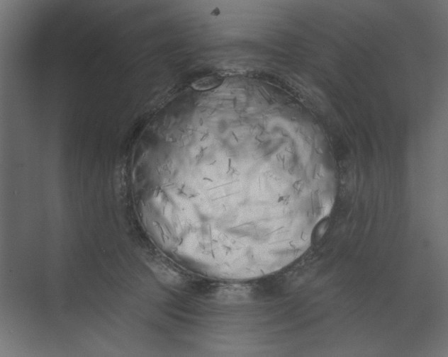 X0000073460369200608181311