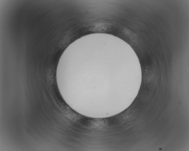 X0000073460370200608181311