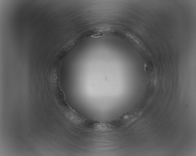 X0000073460372200608181311