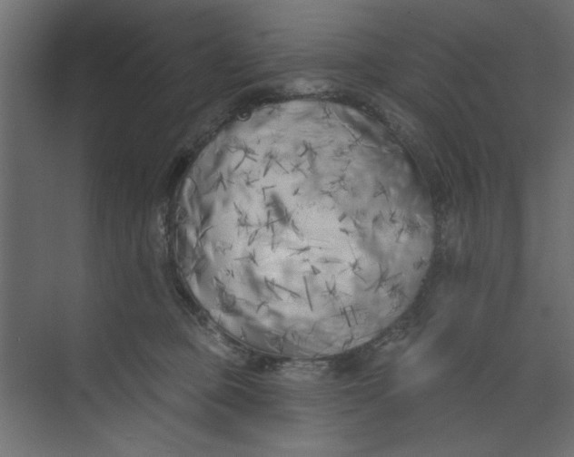 X0000073460373200608181311